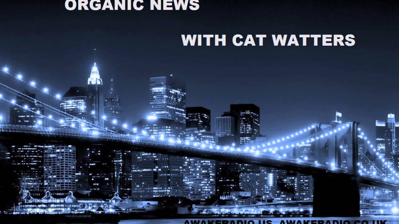 Robert Scheer of TruthDig "Hillary is a War Monger"