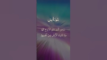 تلاوة خاشعة ومؤثرة من الذكر الحكيم نفعنا الله وإياكم بها #اكسبلور #duet #المصحف #الرحمن #القزابري