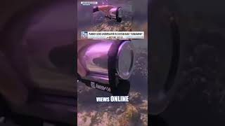 SEE IT: Parrot goes under the sea in DIY submarine #foxnews #news #shorts #animals #diy