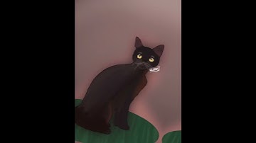 Drawing a cat on procreate! #shorts #procreate #digitalart #cat