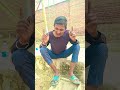 देख लेना ये भी एक साल से ज्यादा नहीं चलेगा #newyearcomedy #newcomedy #poojajason #karanjason #shorts