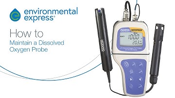 How to perform general dissolved oxygen probe maintenance