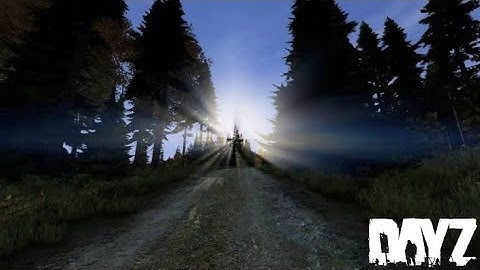 DayZ PS4. Frustrações no Dayz, error code 9, error code 24