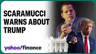 Anthony Scaramucci's warning about another Trump presidency