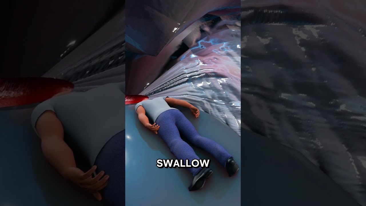What If You Get Swallowed By A Whale
