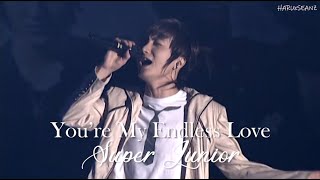 SUPER JUNIOR YOU'RE MY ENDLESS LOVE 말하자면 轻言细语 SS1 IN SEOUL
