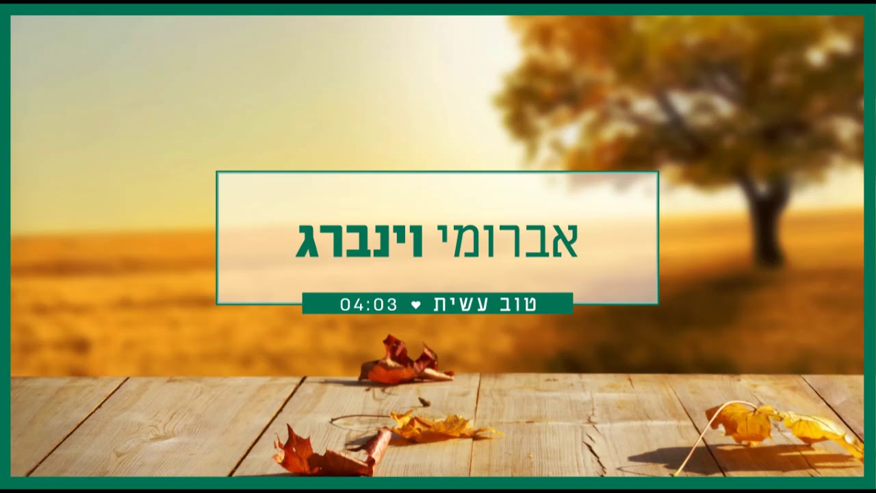 אברומי וינברג - טוב עשית | Avrumi Weinberg