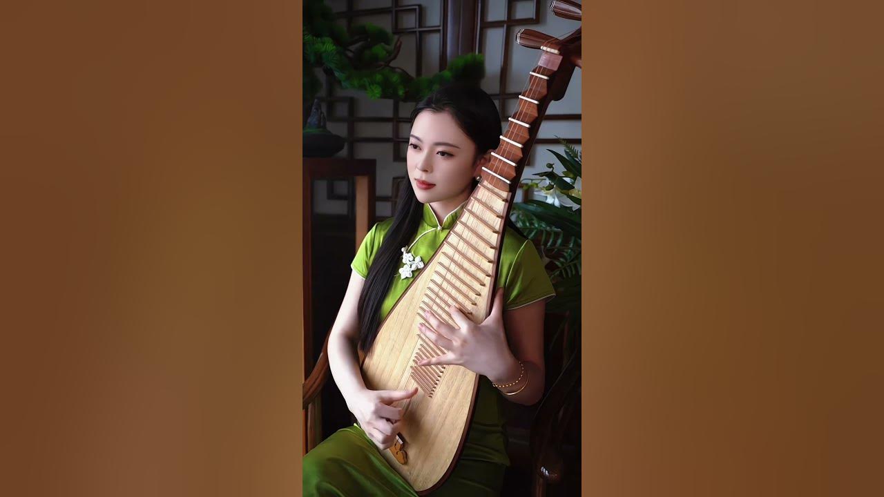 月圆花好 - Yue yuan hua hao #琵琶 #chinesemusic #musicmandarin #fyp #instrumental #pipa