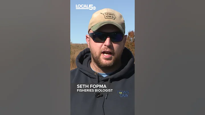 Watch Iowa DNR restock trout at Ames' Ada Hayden Heritage Park