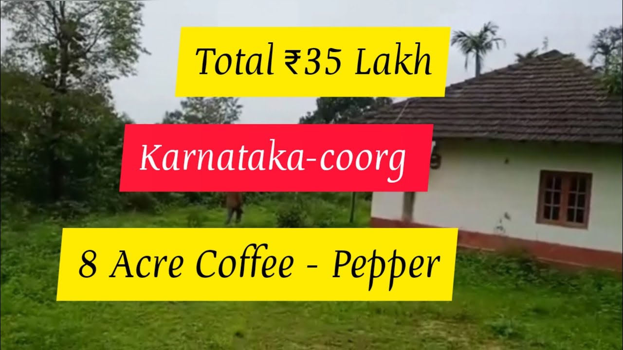 8 Acre Coffee Pepper Estate For Sale Karnataka (Total 35 Lakh