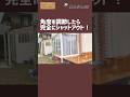 【視線対策】サンルームにブラインド設置したら生活変わった!#サンルーム #ブラインド #DIY #サンルームDIY #視線対策