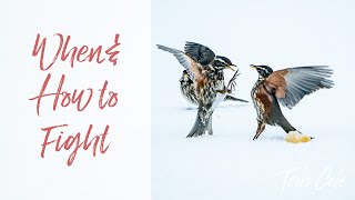 When and How to Fight - Terri Cole