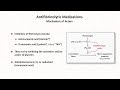 Prothrombotic Medications: Hemostasis - Lesson 7