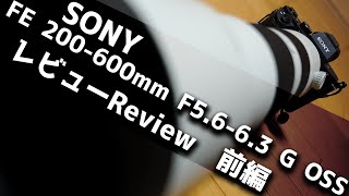 SONY FE 200-600mm F5.6-6.3 G OSS SEL200600G レビュー！前編　Review！　ソニー超望遠レンズコスパ最強の噂はほんとうなのか？