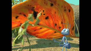 Research Documentary | A Bug's Life