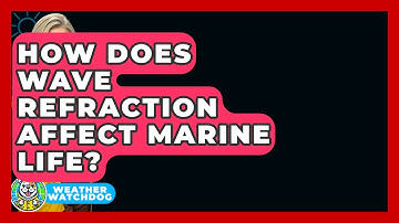How Does Wave Refraction Affect Marine Life? - Weather Watchdog