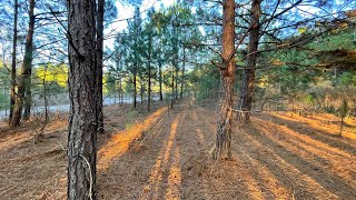 Prime land  9.751 Acres for sale in bear creek golf county club off country manor dr Douglasville Ga