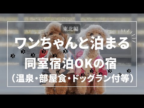 【東北】わんこと泊まれる宿！高評価宿まとめ（温泉・部屋食など嬉しいサービス）