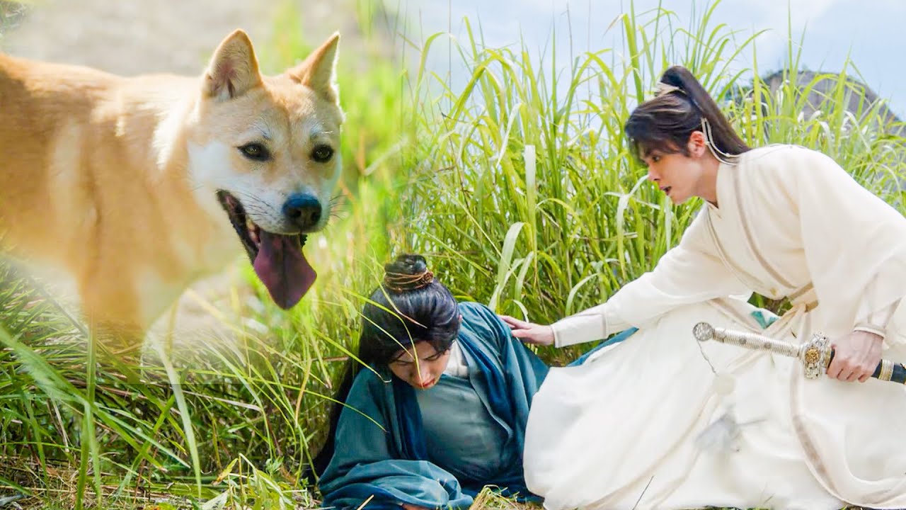 李蓮花受傷眾人遍尋不到，下秒見到「狐狸精」，方小寶立馬有了主意！