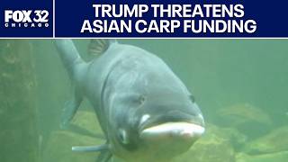 Pritzker Pushes Back As Trump Threatens Funding Over Asian Carp Project