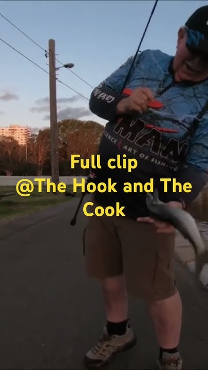 Scotty explains how to fish for Ludrick with weed full clip  @TheHookandTheCook #shorts 