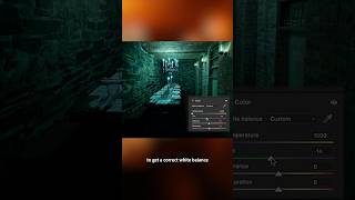 Check out the enhanced Color Temperature controls in Adobe Camera Raw