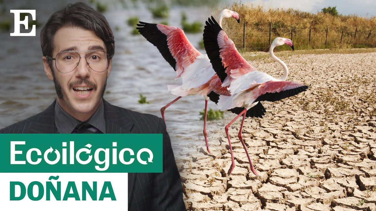 DOÑANA: ¿Qué ha pasado con el Parque Nacional en los últimos años? EL PAÍS anunció su muerte en 1977