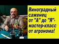 Вегетирующие саженцы винограда Ч.1., - во  всех  тонкостях!