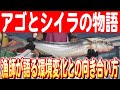 【漁期わずか1カ月半の勝負】アゴを追うシイラ！生月島の漁師が挑むアゴ漁と環境変化への思い　日本財団 海と日本PROJECT in ながさき 2024 #32