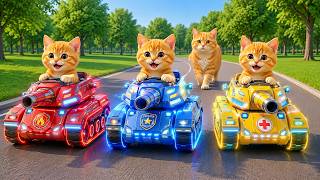 Live 🔴Mama Cat And Kitten ✨Funny Cat | Kucing 🌻 Cat Videos 😿 Cute Cat | Meow Meow