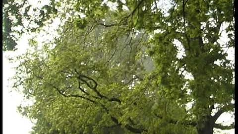 KWH Holland  spuit Phantom  serie B819, B 120, B 612,