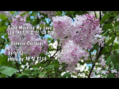 라일락 &amp;amp; <strong>Good</strong> Morning My <strong>Love</strong> (내 사랑 좋은 아침) / Ernesto Cortazar &amp;amp; photo by 체칠리아