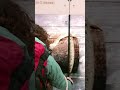 Crazy social swipe donation