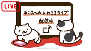 ねこあつめ　にわさきライブ　"Neko Atsume's Yard Live"