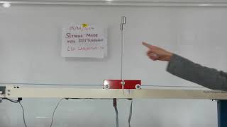 Composite controller for inverted pendulum system in presence of disturbance