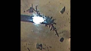 Dendritic Growth of Copper