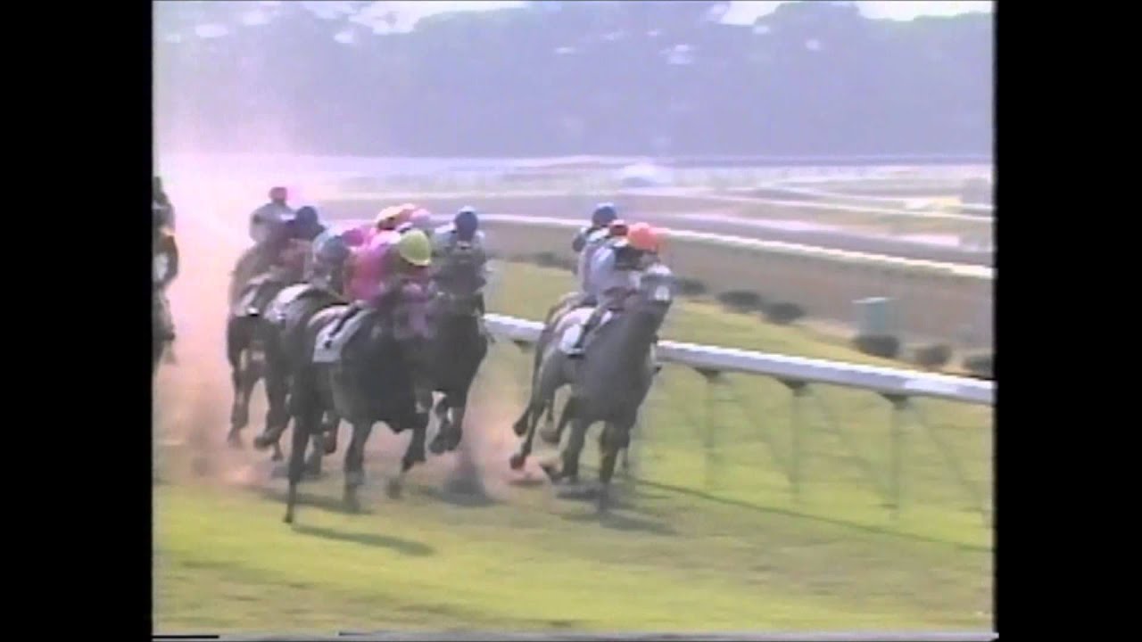 第57回日本ダービー アイネスフウジン 中野コール - YouTube