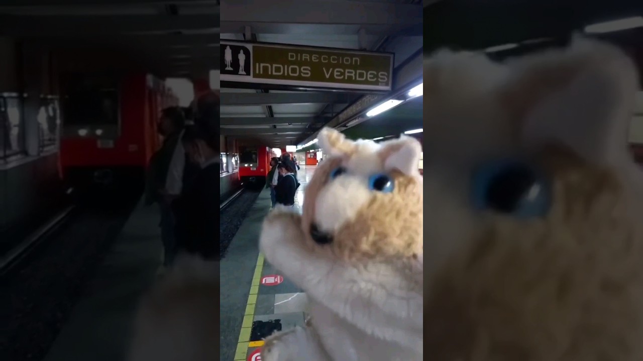 Me encantan estos lugares 