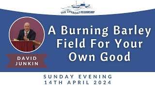 A Burning Barley Field For Your Own Good - David Junkin