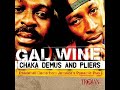 Chaka Demus & Pliers     Pon Mi Guard    2004