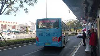 Golden Dragon  XML6105JEVJ0CB