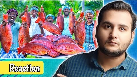 Red Snapper Fish | Big Fish Grill Recipe Cooking In Village | Fish Fry In Clay | Ancient Cooking