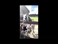 This GOAT tried to Play Me and Get Cool w My Wife-Nah Dog/Yo, he really thought he was the G.O.A.T?
