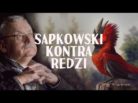 Video: Srečanje Z Andrzejem Sapkowskim, Pisateljem, Ki Je Ustvaril Čarovnika