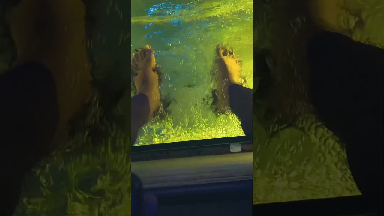 Udaipur's Fin-tastic Fish Spa Experience 🐠😂 