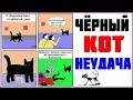 Лютые приколы. ЧЕРНЫЙ КОТ НЕУДАЧА?