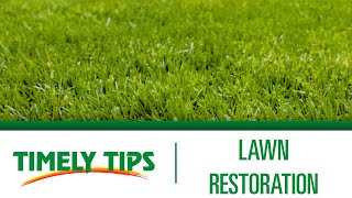 How to Restore Your Lawn