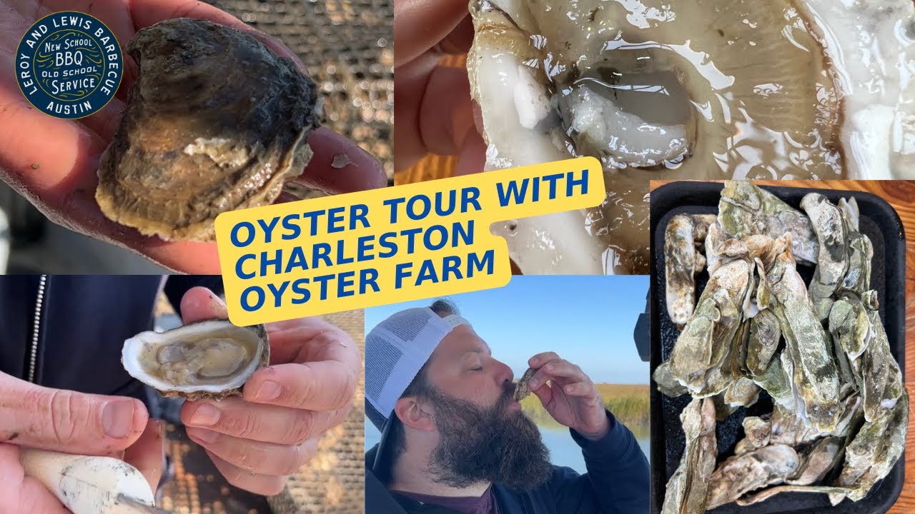 Charleston Oyster Farm Tour with LeRoy and Lewis YouTube