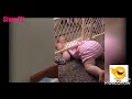 تشبع ضحك مع أطفال صغار مشاغبين جدا 🤪 Des enfants très drôles