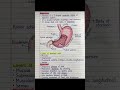 #science #class10 #digestive_system